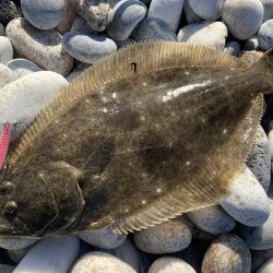 砂利浜スプーニング