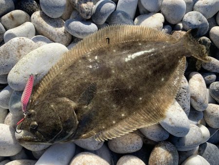 砂利浜スプーニング