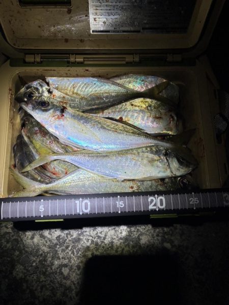 やっぱりアジングやなー