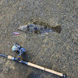 ヒラメ43、イトヨリダイ42cm