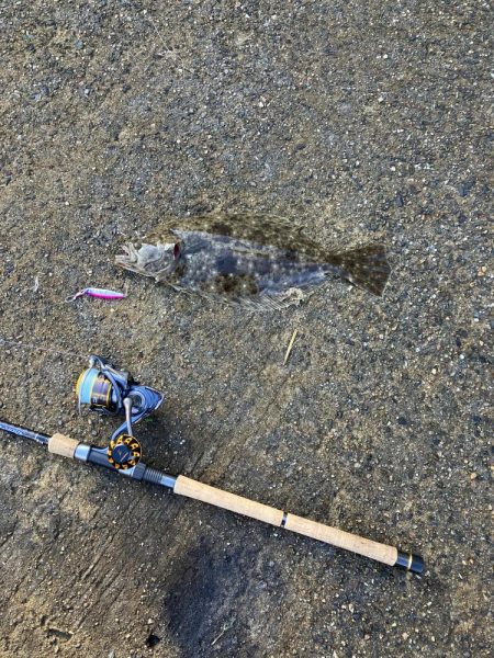 ヒラメ43、イトヨリダイ42cm