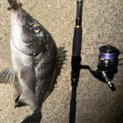 時合待ちにんぐ