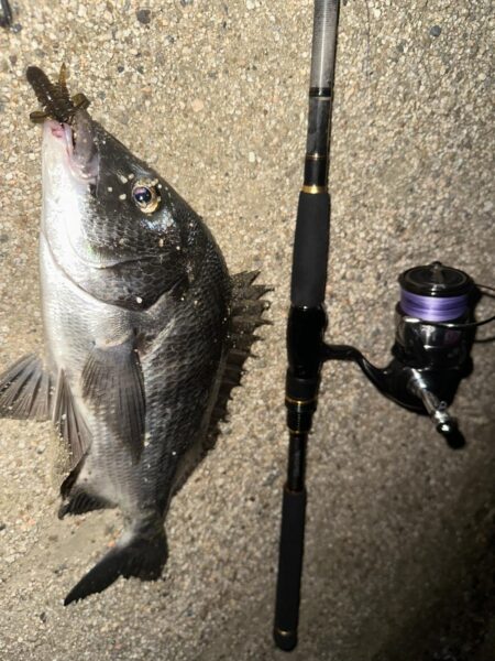 時合待ちにんぐ