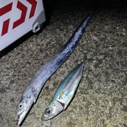 激渋の中の粘り勝