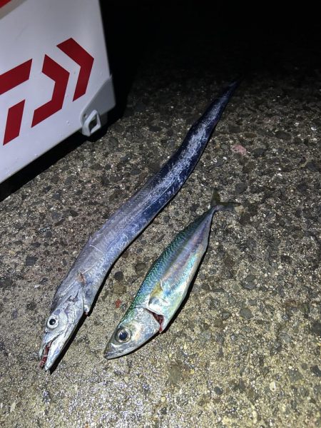 激渋の中の粘り勝