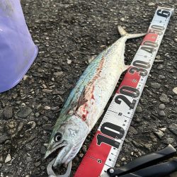 初のルアー釣りに挑戦しました