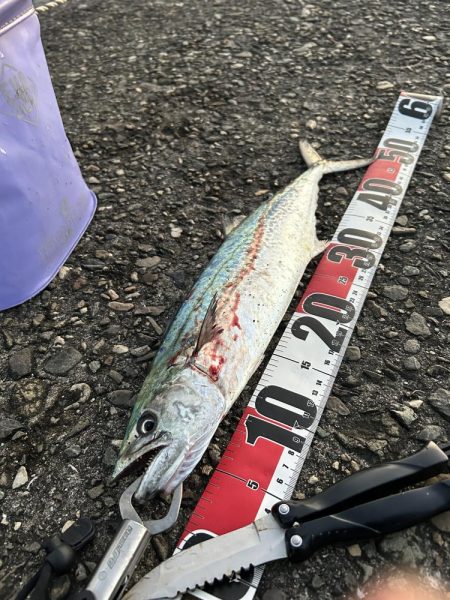 初のルアー釣りに挑戦しました