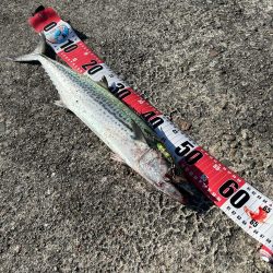 釣り開始すぐのミラクル