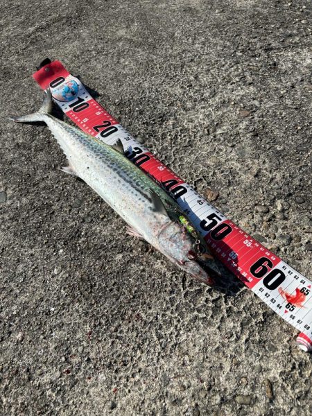 釣り開始すぐのミラクル