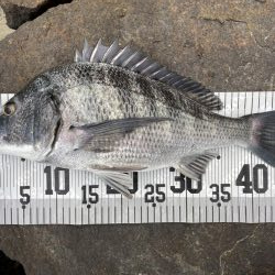 イチノ兄弟、釣果！