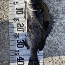 イチノ兄弟、釣果！