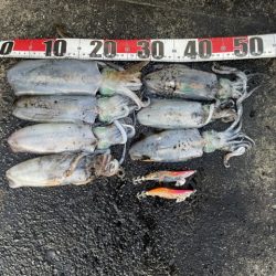 2025 佐渡ヶ島エギング Vol.45【11月4日】