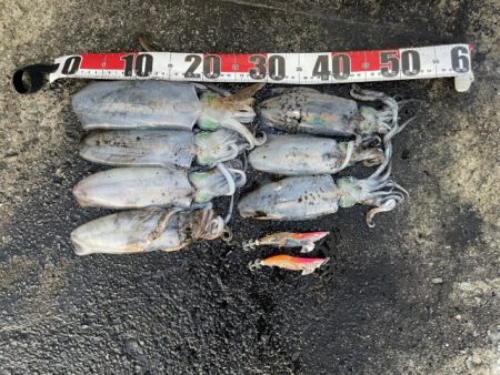 2025 佐渡ヶ島エギング Vol.45【11月4日】