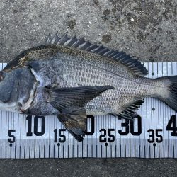 イチノ兄弟、釣果！