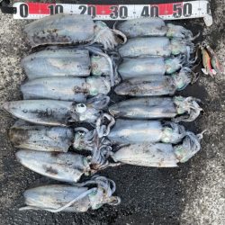 2025 佐渡ヶ島エギング Vol.46【11月5日】