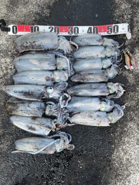 2025 佐渡ヶ島エギング Vol.46【…