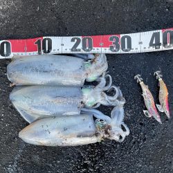 2025 佐渡ヶ島エギング Vol.48【11月7日】