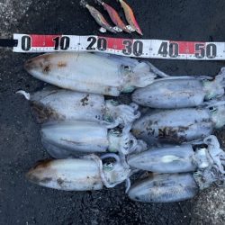 2025 佐渡ヶ島エギング Vol.50【11月9日】