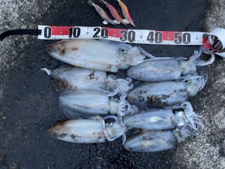 2025 佐渡ヶ島エギング Vol.50【…