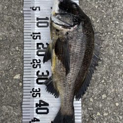 イチノ兄弟、釣果!