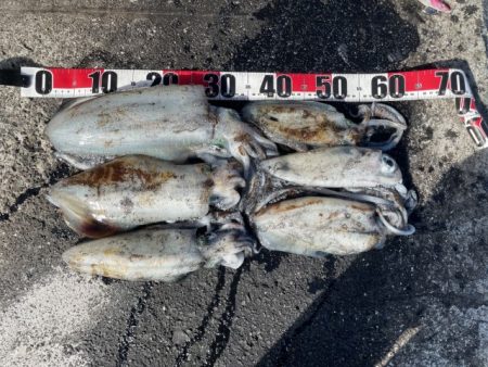 2025 佐渡ヶ島エギング Vol.54【11月15日】