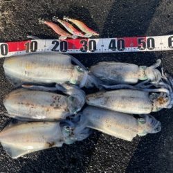 2025 佐渡ヶ島エギング Vol.55【11月16日】