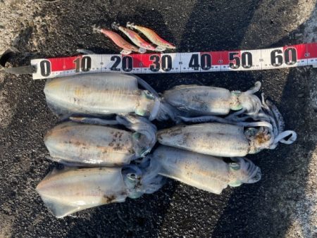 2025 佐渡ヶ島エギング Vol.55【…