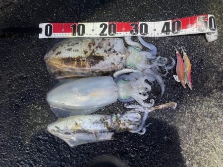 2025 佐渡ヶ島エギング Vol.57【…