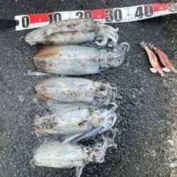 2025 佐渡ヶ島エギング Vol.58【11月22日】