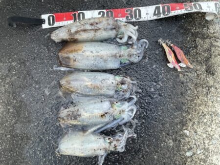 2025 佐渡ヶ島エギング Vol.58【11月22日】