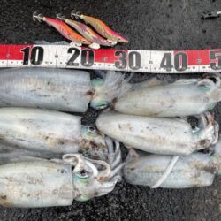 2025 佐渡ヶ島エギング Vol.59【11月24日】