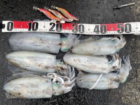 2025 佐渡ヶ島エギング Vol.59【…