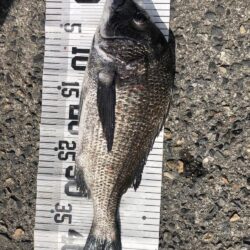 イチノ兄弟、釣果！