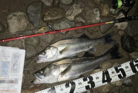 ワンピッチフェザージギング