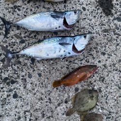 風もなく穏やかな1日