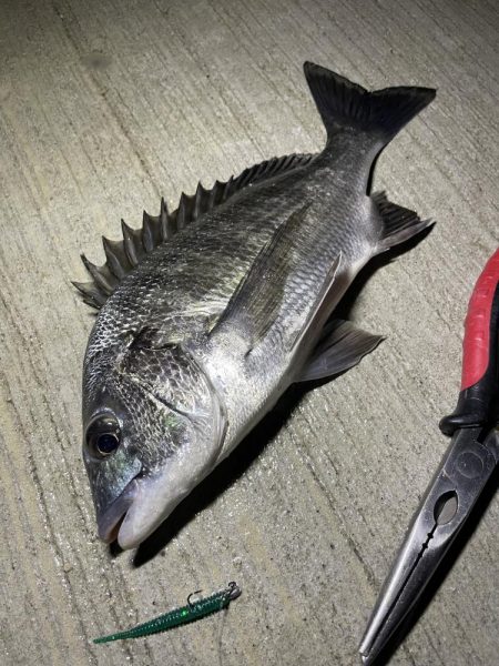 想像より渋かった