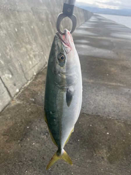 坂ノ市沖防波堤