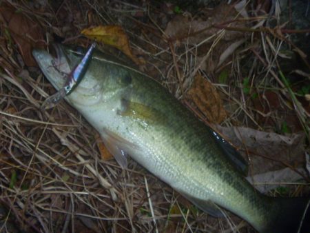 一庫ダム釣行　11月14日