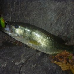 一庫ダム釣行　11月17日