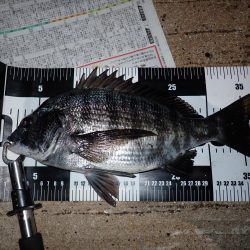 良く引きました