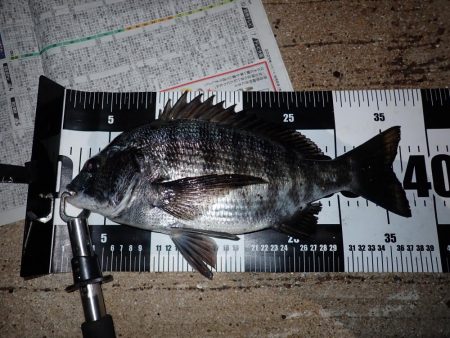 良く引きました