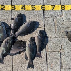 ついに開幕！秋のグレシーズン！！