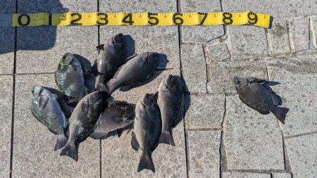 ついに開幕！秋のグレシーズン！！