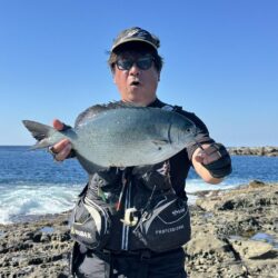 和歌山市江（吉丸渡船）でグレ釣り