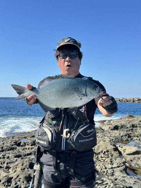 和歌山市江（吉丸渡船）でグレ釣り