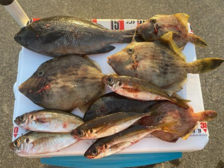 8種達成:シロギスタ↔︎カワ…