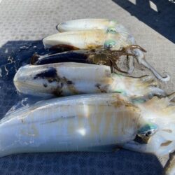 来たーキロアップ