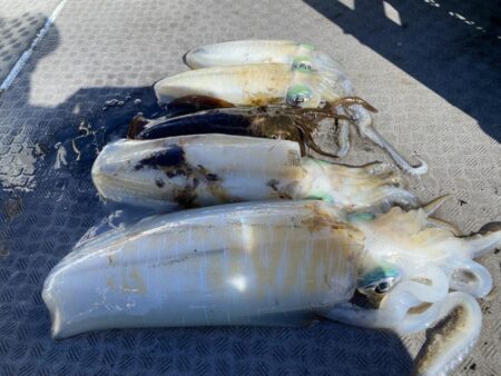 来たーキロアップ