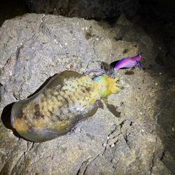 久しぶりのジェット噴射