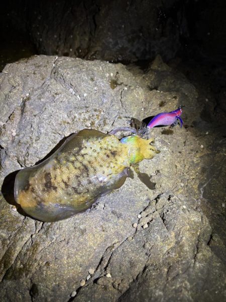 久しぶりのジェット噴射